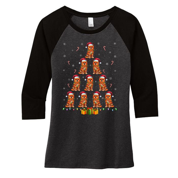 Brussels Griffon Dog Santa Hat Xmas Lights Christmas Tree Women's Tri-Blend 3/4-Sleeve Raglan Shirt