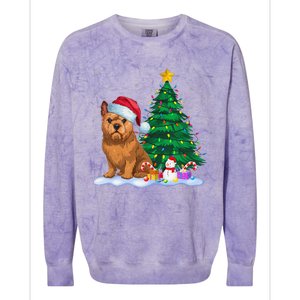 Brussels Griffon Dog Xmas Tree Lights Reindeer Hat Christmas Colorblast Crewneck Sweatshirt