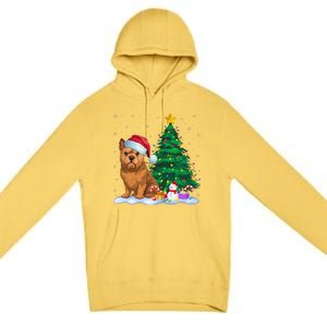 Brussels Griffon Dog Xmas Tree Lights Reindeer Hat Christmas Premium Pullover Hoodie