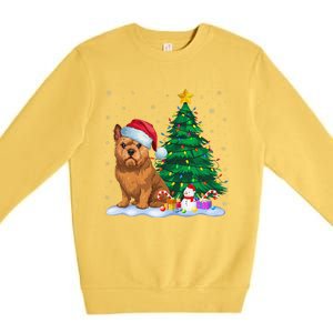 Brussels Griffon Dog Xmas Tree Lights Reindeer Hat Christmas Premium Crewneck Sweatshirt