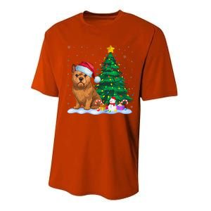 Brussels Griffon Dog Xmas Tree Lights Reindeer Hat Christmas Performance Sprint T-Shirt