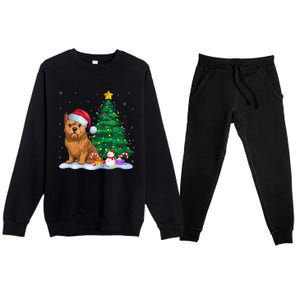 Brussels Griffon Dog Xmas Tree Lights Reindeer Hat Christmas Premium Crewneck Sweatsuit Set