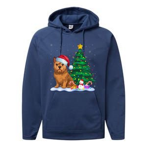 Brussels Griffon Dog Xmas Tree Lights Reindeer Hat Christmas Performance Fleece Hoodie