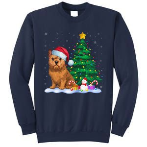 Brussels Griffon Dog Xmas Tree Lights Reindeer Hat Christmas Sweatshirt