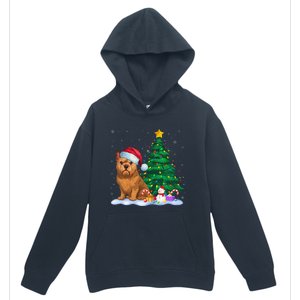 Brussels Griffon Dog Xmas Tree Lights Reindeer Hat Christmas Urban Pullover Hoodie