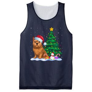 Brussels Griffon Dog Xmas Tree Lights Reindeer Hat Christmas Mesh Reversible Basketball Jersey Tank