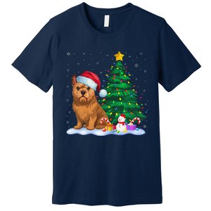 Brussels Griffon Dog Xmas Tree Lights Reindeer Hat Christmas Premium T-Shirt