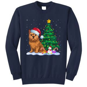 Brussels Griffon Dog Xmas Tree Lights Reindeer Hat Christmas Tall Sweatshirt