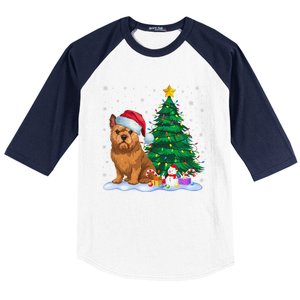 Brussels Griffon Dog Xmas Tree Lights Reindeer Hat Christmas Baseball Sleeve Shirt