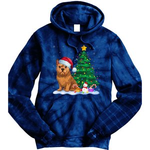 Brussels Griffon Dog Xmas Tree Lights Reindeer Hat Christmas Tie Dye Hoodie