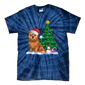 Brussels Griffon Dog Xmas Tree Lights Reindeer Hat Christmas Tie-Dye T-Shirt