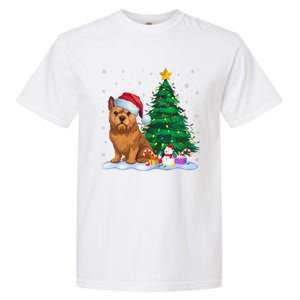 Brussels Griffon Dog Xmas Tree Lights Reindeer Hat Christmas Garment-Dyed Heavyweight T-Shirt