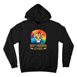 Best Grandpa Ever Funny Fathers Day Gift For Dad Hoodie