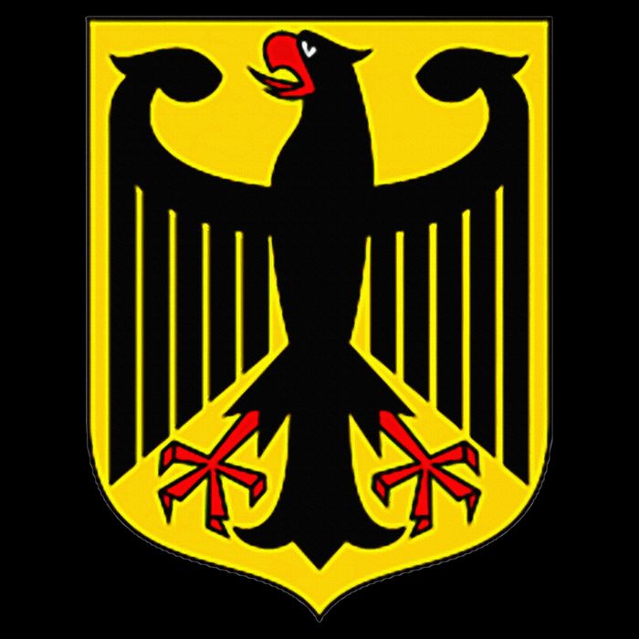 Badge Germany Flag Cool German Flags Wool Snapback Cap