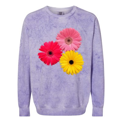 Blooming Gerbera Flower Daisies Gerberas Daisy Flowery Colorblast Crewneck Sweatshirt