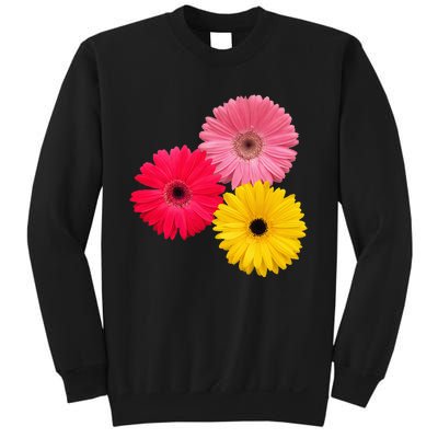 Blooming Gerbera Flower Daisies Gerberas Daisy Flowery Sweatshirt