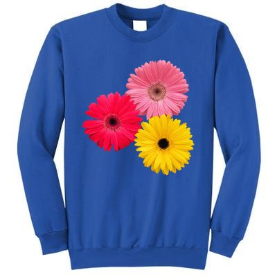 blooming gerbera flower daisies gerberas daisy flowery Sweatshirt