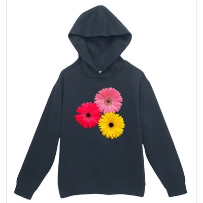 blooming gerbera flower daisies gerberas daisy flowery Urban Pullover Hoodie