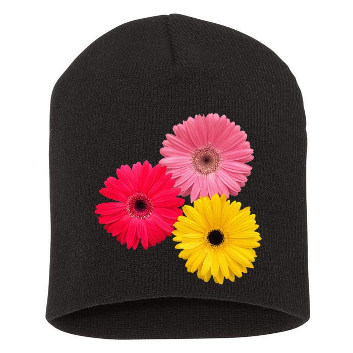 Blooming Gerbera Flower Daisies Gerberas Daisy Flowery Short Acrylic Beanie