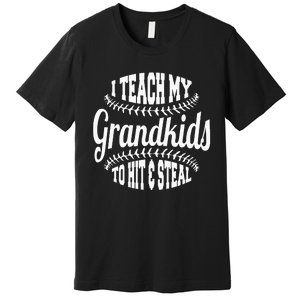 Baseball Grandpa I Teach My Grand To Hit And Steal Premium T-Shirt