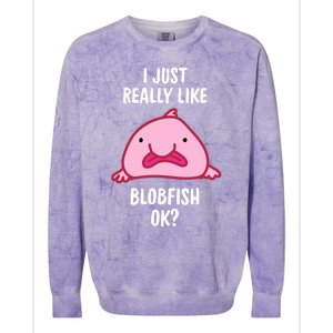 Blobfish Gift I Just Really Like Blobfish Ok Gift Merch Colorblast Crewneck Sweatshirt