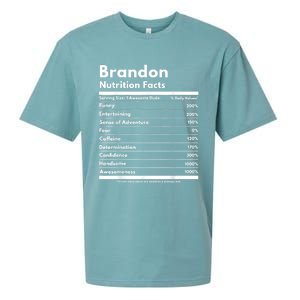 Brandon Gift Nutrition Facts Funny Personalized Name Brandon Sueded Cloud Jersey T-Shirt