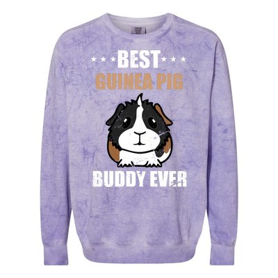 Best Guinea Pig Buddy Ever Colorblast Crewneck Sweatshirt