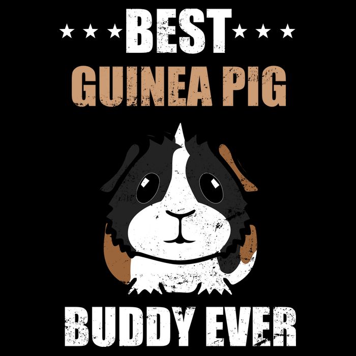 Best Guinea Pig Buddy Ever Wool Snapback Cap