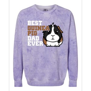 Best Guinea Pig Dad Ever Colorblast Crewneck Sweatshirt