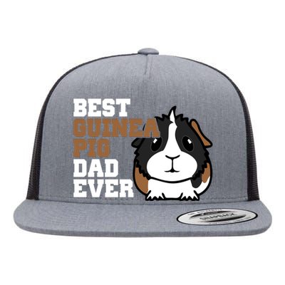 Best Guinea Pig Dad Ever Flat Bill Trucker Hat