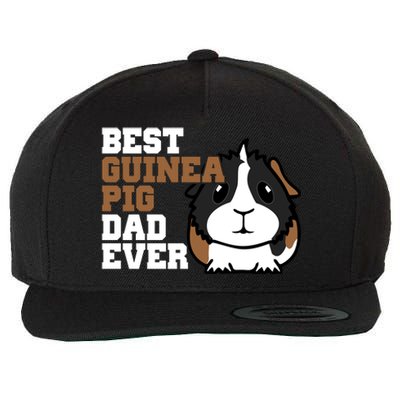 Best Guinea Pig Dad Ever Wool Snapback Cap