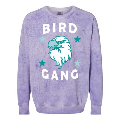 Bird Gang Philadelphia Pride Colorblast Crewneck Sweatshirt