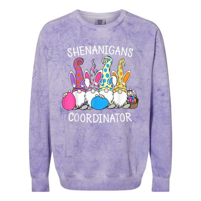 Bunny Gnome Rabbit Eggs Hunting Shenanigans Coordinator Colorblast Crewneck Sweatshirt