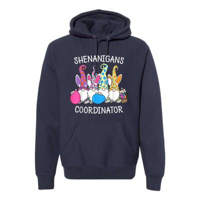 Bunny Gnome Rabbit Eggs Hunting Shenanigans Coordinator Premium Hoodie