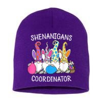 Bunny Gnome Rabbit Eggs Hunting Shenanigans Coordinator Short Acrylic Beanie