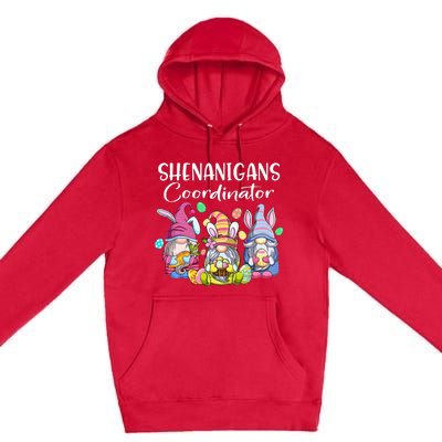 Bunny Gnome Rabbit Eggs Hunting Shenanigans Coordinator Premium Pullover Hoodie