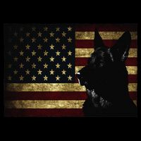 Black German Shepherd American Flag 4th July GSD Dog 16 in Basic Backpack