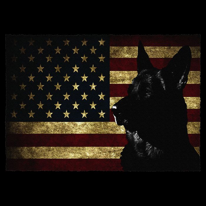 Black German Shepherd American Flag 4th July GSD Dog 16 in Basic Backpack