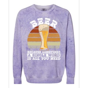 Beer Gift Sometimes A Single Word Is All You Need Gift Beer Lover Gift Colorblast Crewneck Sweatshirt