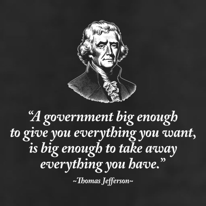 Big Governt Thomas Jefferson Quote Meaningful Gift Cool Comfort Performance Bucket Hat