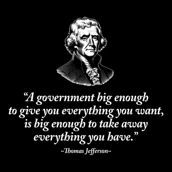 Big Governt Thomas Jefferson Quote Meaningful Gift Flat Bill Trucker Hat