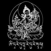 Buddha Green Tara Tra Tibetan Buddhism Vajrayana Gift Cooling Performance Crew T-Shirt