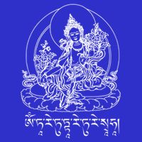 Buddha Green Tara Tra Tibetan Buddhism Vajrayana Gift V-Neck T-Shirt
