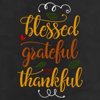 Blessed Grateful Thankful Adult Drive Performance Visor
