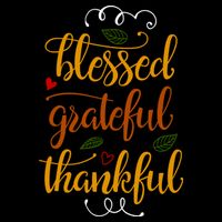 Blessed Grateful Thankful Womens T-Shirt