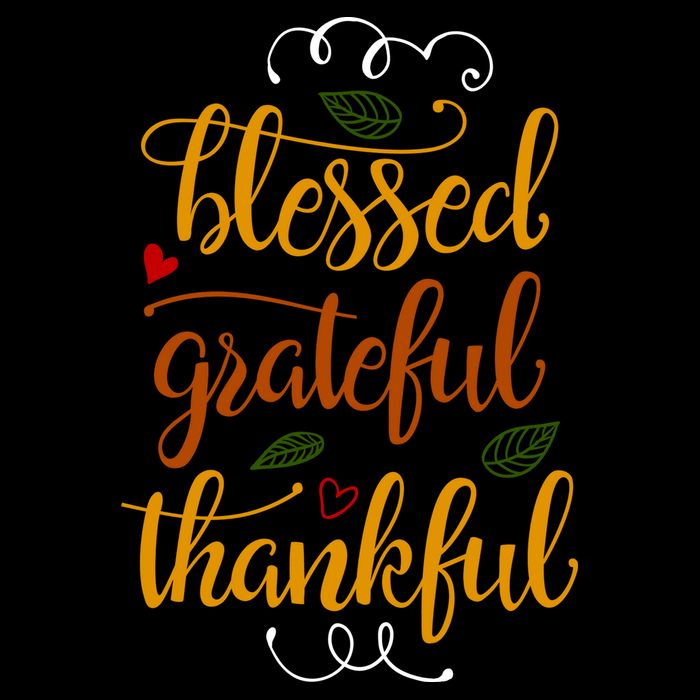 Blessed Grateful Thankful Womens T-Shirt