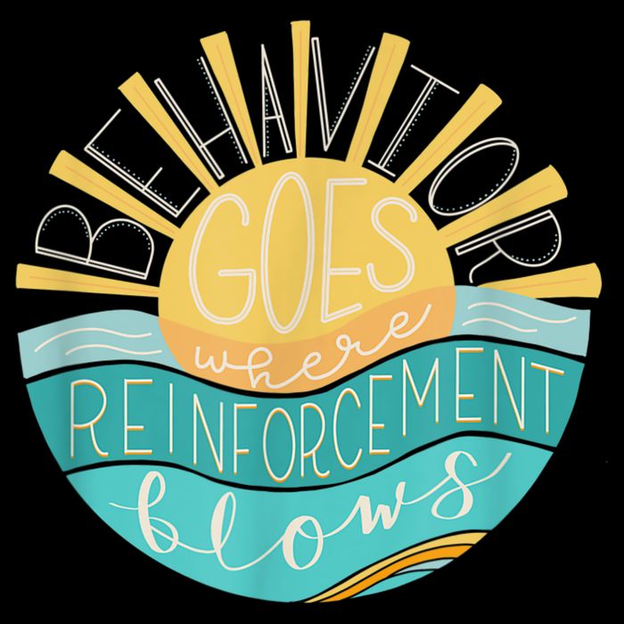 Behavior Goes Where Reinforcement Flows BCBA RBT SPED Para Baby Bodysuit
