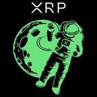 Brad Garlinghouse Wearing Xrp Cropped Pullover Crew