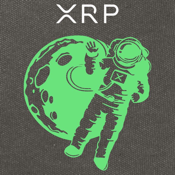 Brad Garlinghouse Wearing Xrp Cotton Canvas Backpack