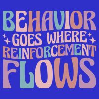Behavior Goes Where Reinforcement Flows Behavior Analyst Cute Gift T-Shirt